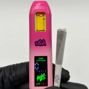 stoner stix world tour 2g disposable