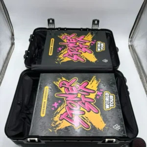 stoner stix world tour disposable
